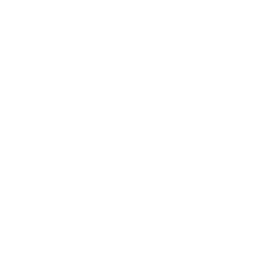 Figs Auto Detailing